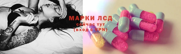 стафф Михайлов