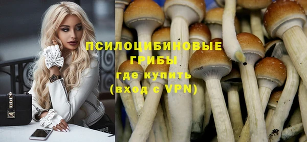 МДМА Медвежьегорск